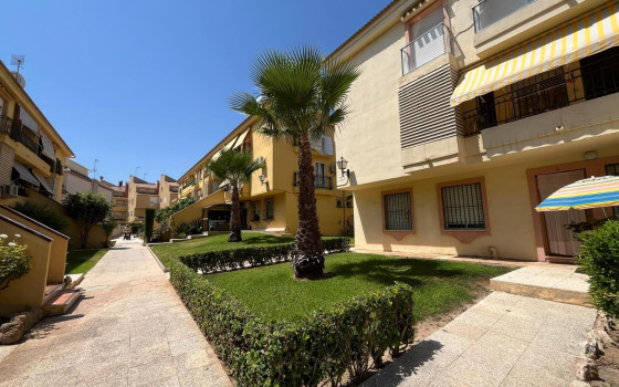 Bungalow w Torrevieja, 3 sypialnie - HRE60828 - 1