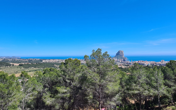 https://wtgspain.com/small/dzialka-w-calpe-id-pvs44522-1422745.jpg