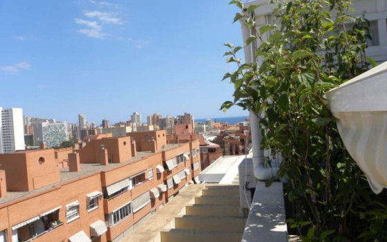 Penthouse w Benidorm, 3 sypialnie - CPP59907 - 18