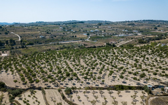  Plot in Benissa- MIG49719 - 2