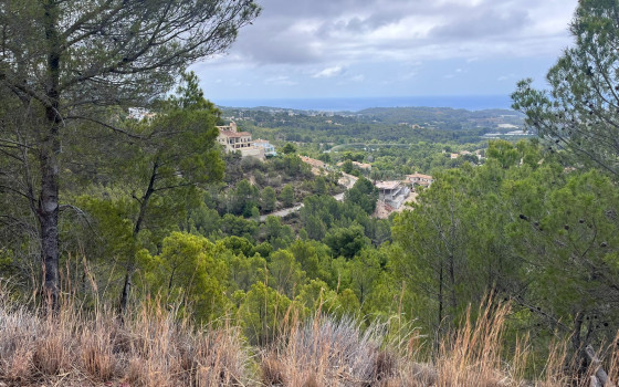  Plot in Callosa De Segura- PVS59836 - 5