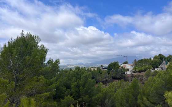  Plot in Callosa De Segura- PVS59836 - 4