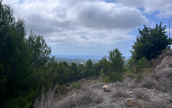  Plot in Callosa De Segura- PVS59836 - 19