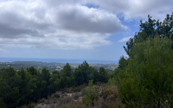  Plot in Callosa De Segura- PVS59836 - 8