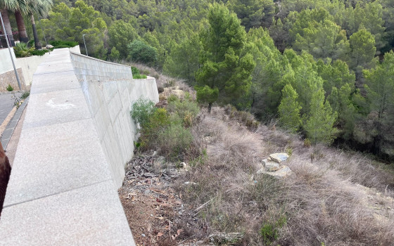  Pozemek v Callosa De Segura- PVS59836 - 16