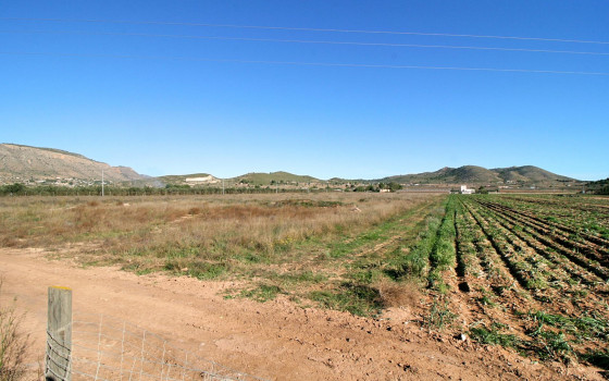  Pozemek v Hondón de las Nieves- SLE52000 - 4