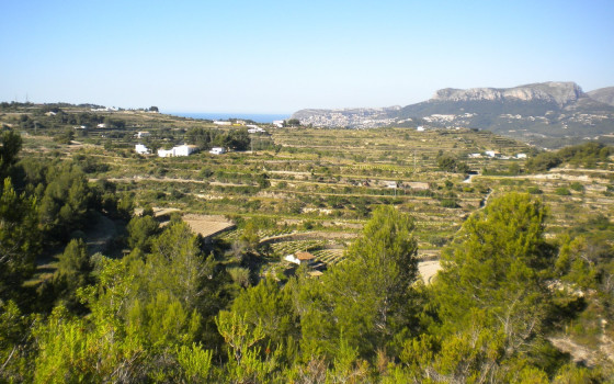 Terrain de  à Benissa- AVS57656 - 2