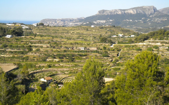 Terrain de  à Benissa- AVS57656 - 1