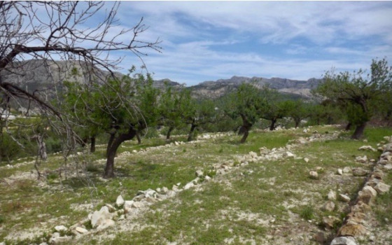 Terrain de  à Callosa de Ensarriá- CPP59868 - 2