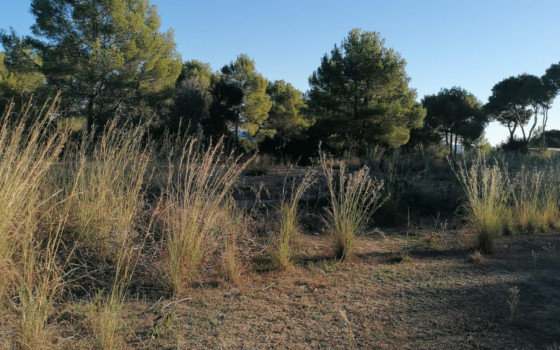 Terrain de  à Denia- DINV61666 - 2