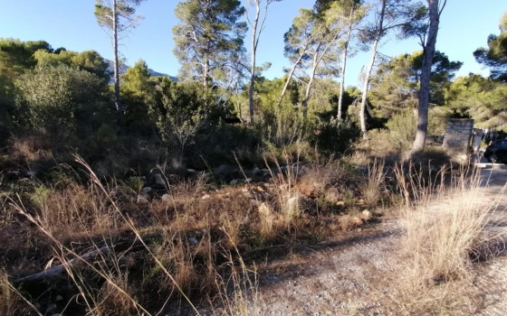 Terrain de  à Denia- DINV61666 - 3