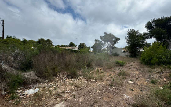 Terrain de  à Xàbia- PVJ59477 - 8