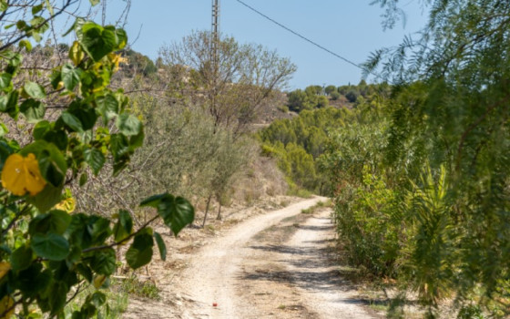 Villa de 2 chambres à Benissa - AVE63233 - 10