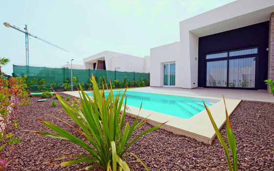 Villa de 3 chambres à Algorfa - TRI61219 - 4