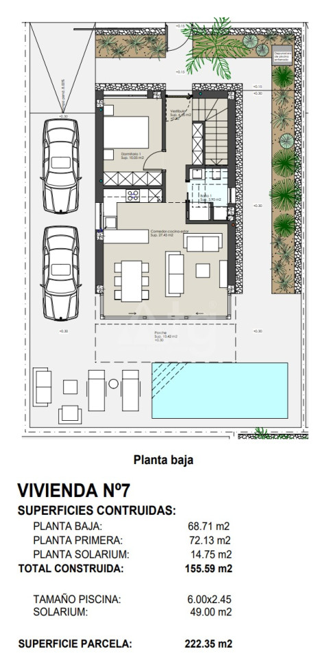 4 Schlafzimmer Villa in Pilar de la Horadada - NP21183 - 1