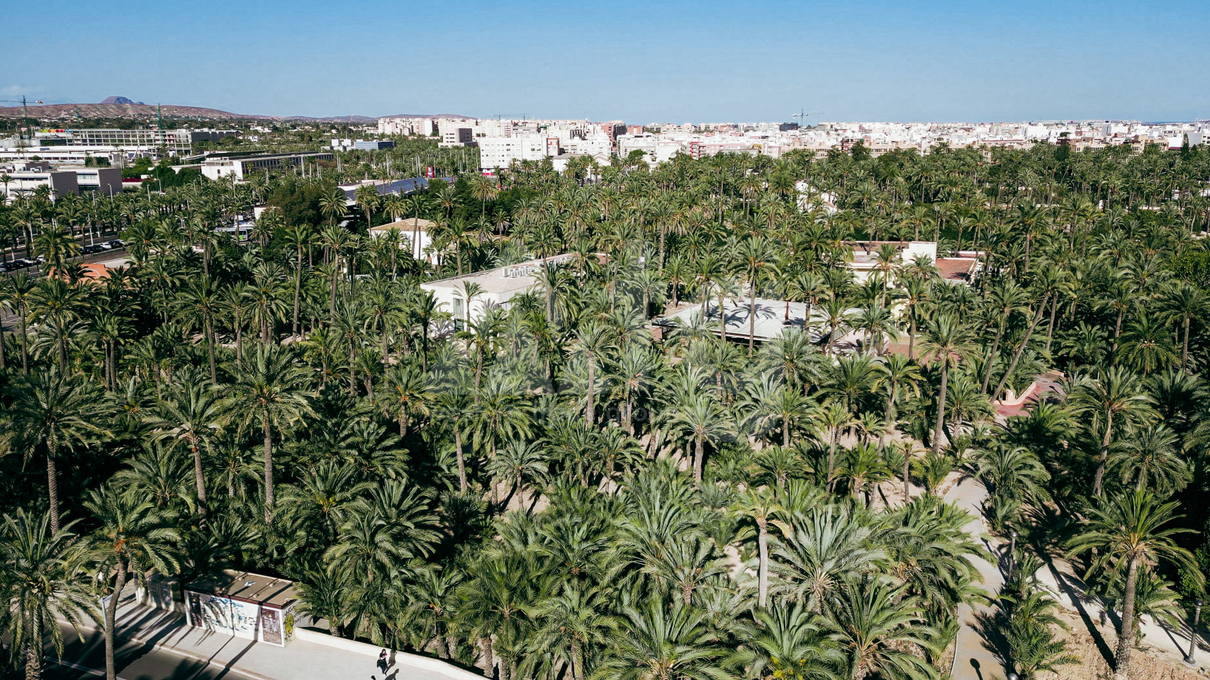 Penthouse cu 3 dormitoare în Alicante - AEH34719 - 11