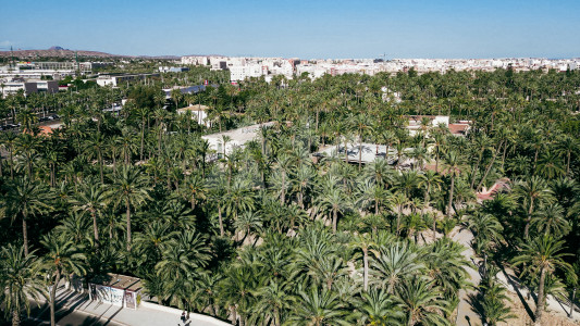 Townhouse de 3 chambres à Gran Alacant - AS41578 - 46