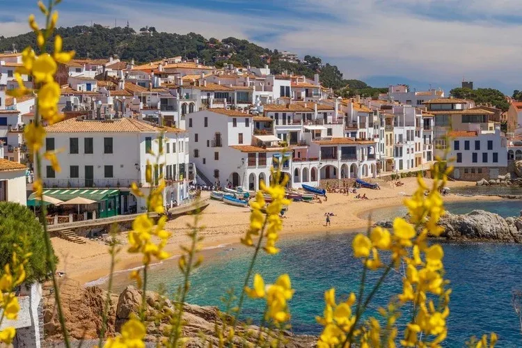 Top 7 Best places to live in Spain 2024