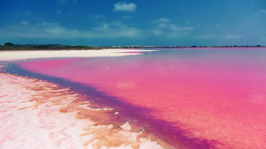 Lagune salée de Torrevieja, Espagne