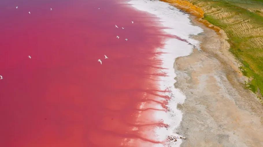 Laguna Rosa de Torrevieja, Costa Blanca, España