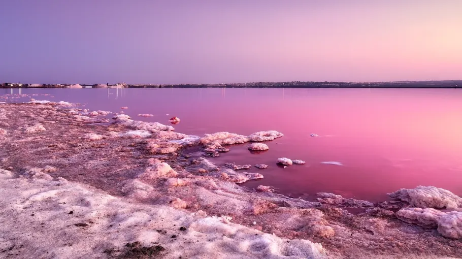 Les lacs roses de Torrevieja, Espagne