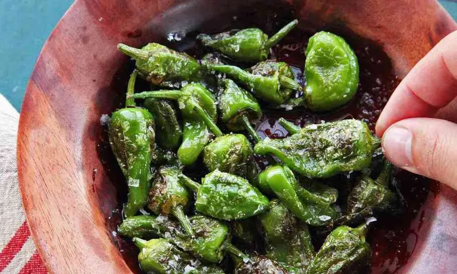 Pimientos de Padrón