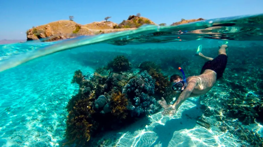 Snorkeling na wyspie Tabarca, Hiszpania