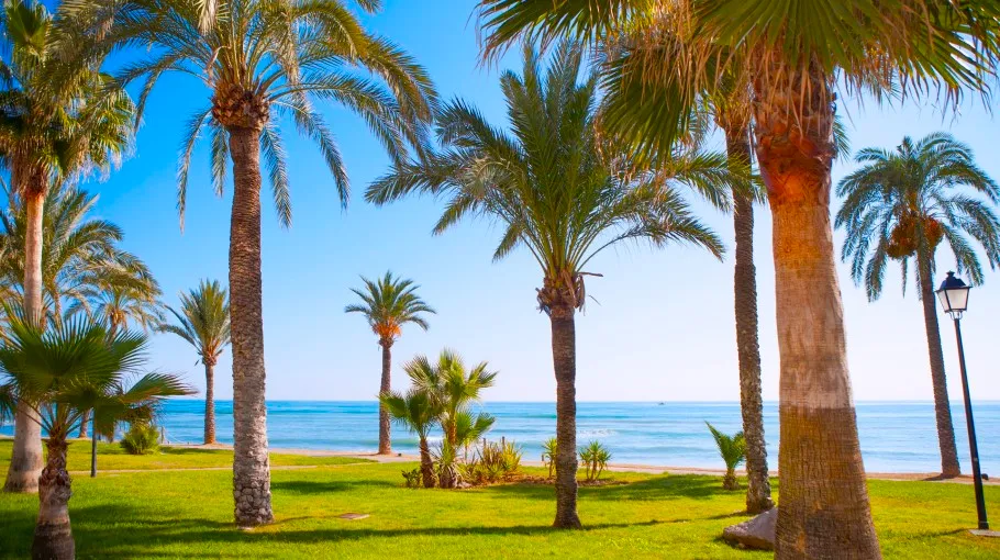 Palmenpark von Punta Prima, Spanien