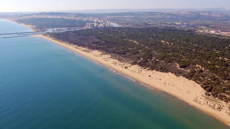 Plage de la ville de Guardamar del Segura en Espagne